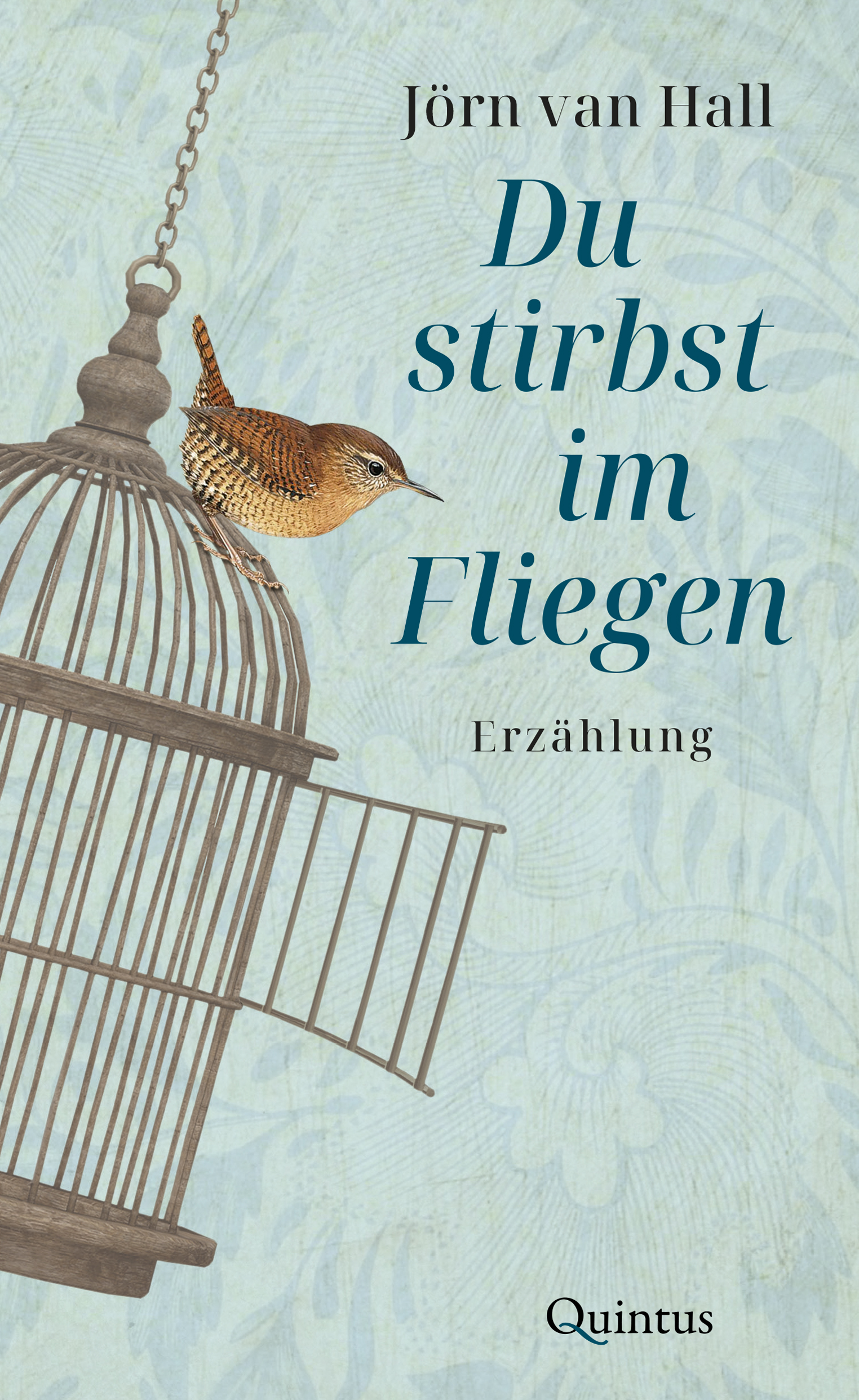 Cover des Buches „Du stirbst im Fliegen“ von Jörn van Hall © Quintus-Verlag